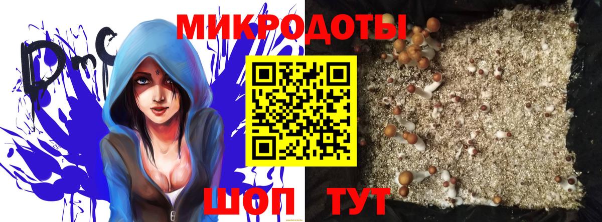 Псилоцибиновые грибы прущие грибы Норильск