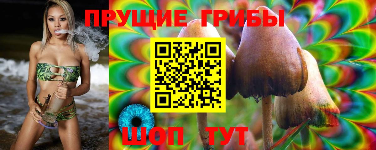 Псилоцибиновые грибы Psilocybine cubensis  Вход с VPN  Норильск  наркотики  Галлюциногенные грибы Psilocybine cubensis 